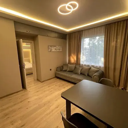 Center 1 Warna